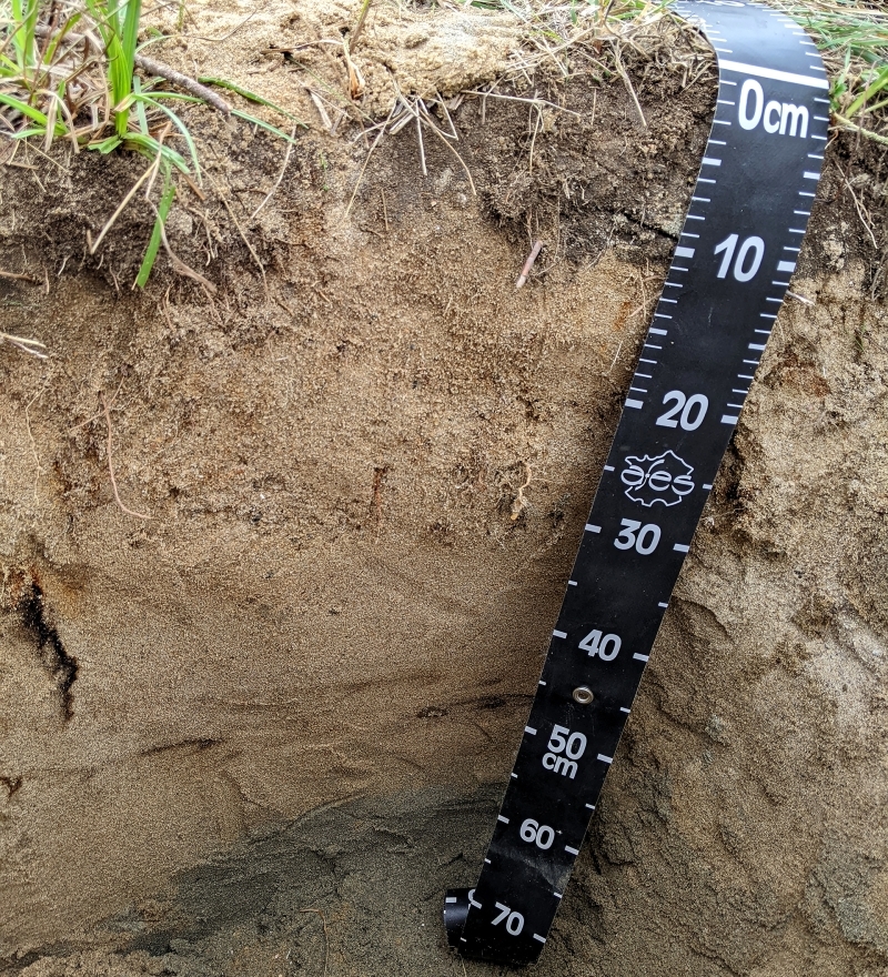 View of a soil pit. © BRGM
