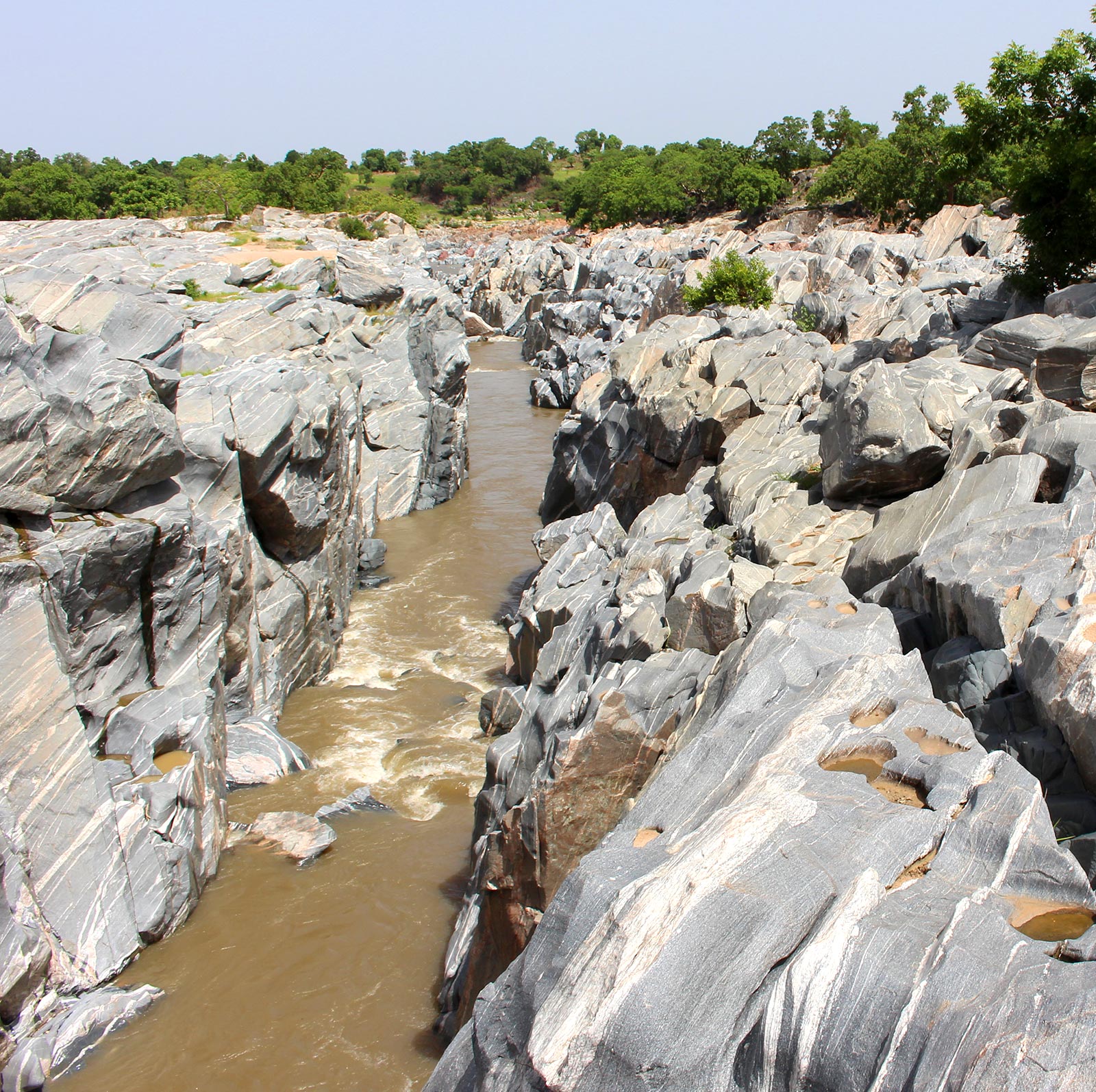 Relevé de terrain sur un inselberg granitique- secteur Djoum, extrême Sud Cameroun. © BRGM - C. Delor