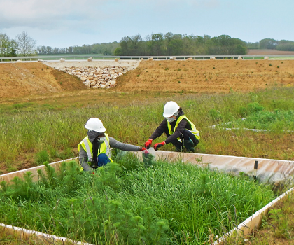 Prélèvements pour la quantification de biomasse produite sur les sols construits. © BRGM – P. Bataillard