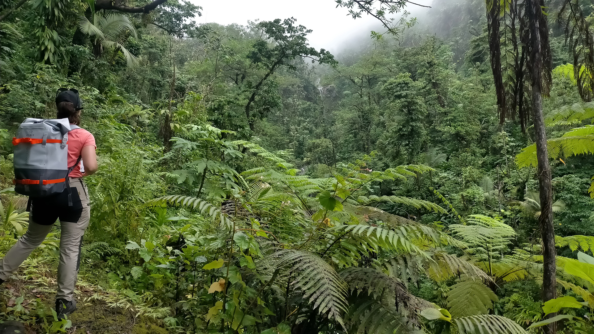 The difficult terrain did not facilitate the installation by the teams of seismometers and magnetotelluric stations. © BRGM