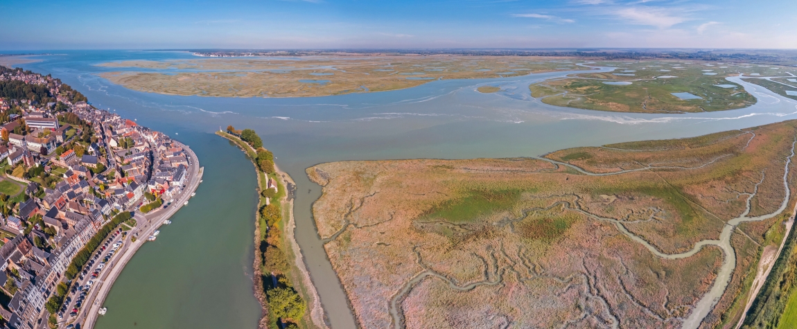 Saltmarshes in the Bay of the Somme. © Adobe Stock