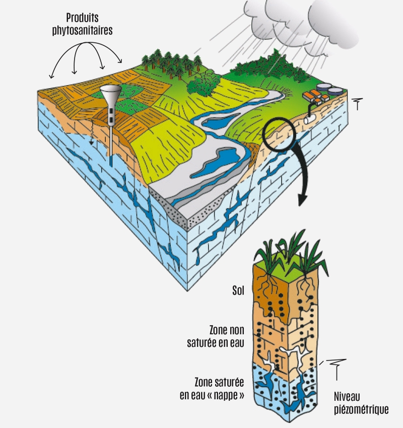 Schéma explicatif du potentiel transfert des produits phytosanitaires et leurs métabolites depuis le sol vers les eaux souterraines. © BRGM