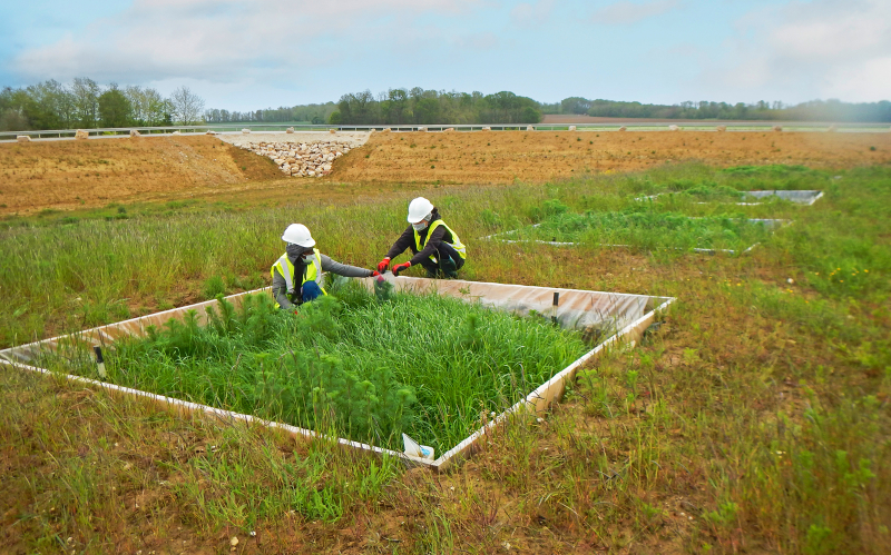 Prélèvements pour la quantification de biomasse produite sur les sols construits. © BRGM – P. Bataillard