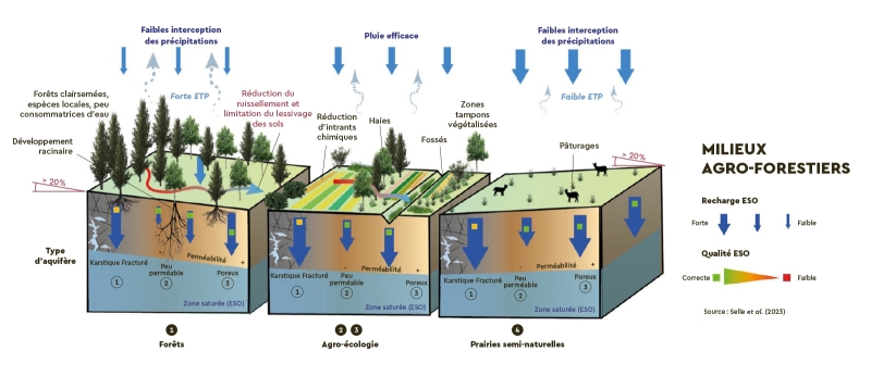Processus hydrogéologiques associés aux SFN-ESO en milieux agroforestiers. © BRGM