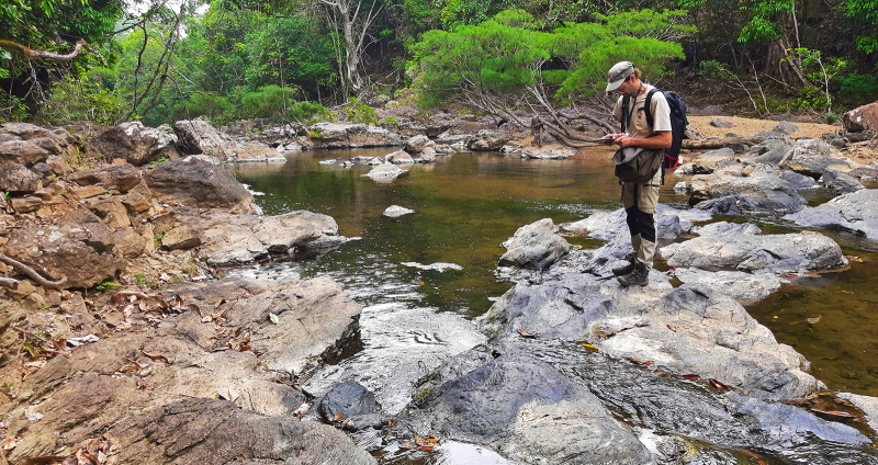 Field survey in the Boghen metamorphic unit (New Caledonia). © BRGM – L. Alizert