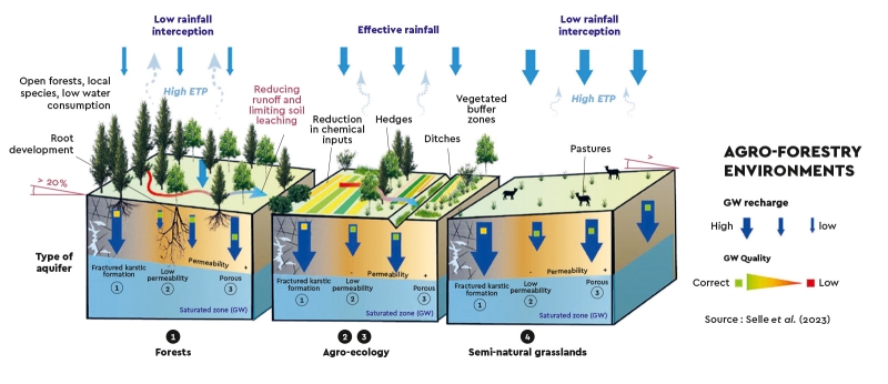 Hydrogeological processes associated with the use of NBSs in agro-forestry environments. © BRGM