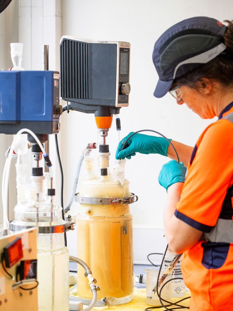 Expérimentée sur la plateforme Plat’inn, la biolixiviation utilise des bactéries pour récupérer certains métaux dans les déchets miniers ou les appareils électroniques usagés. © Didier Depoorter