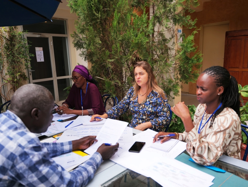 Exploration avec les acteurs locaux de différents scénarios de gestion de l’eau et d’aménagement du fleuve Sénégal. © BRGM