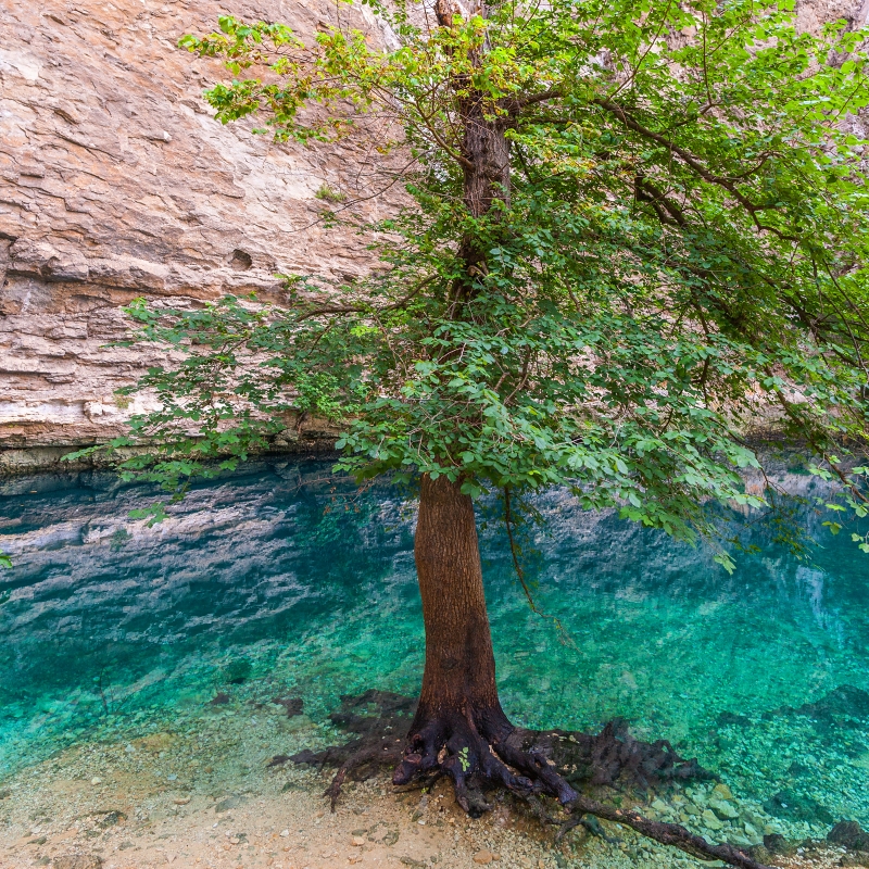 The source of the Sorgue at Fontaine-de-Vaucluse (Vaucluse) © Getty Images