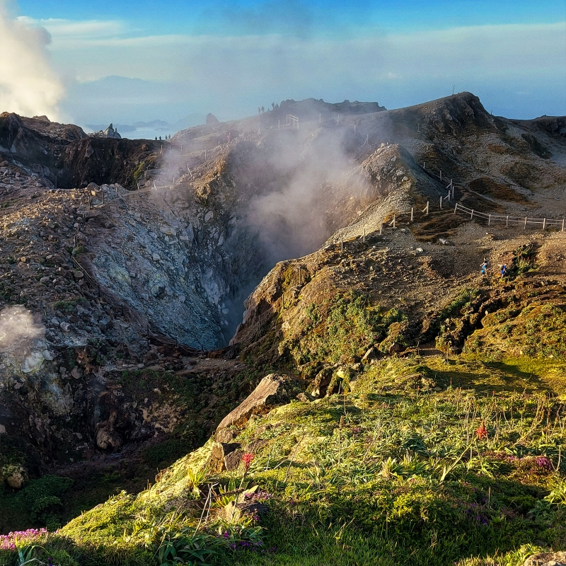 Napoleon Crater, La Soufrière volcano (Guadeloupe). © BRGM - Chloé Jacson
