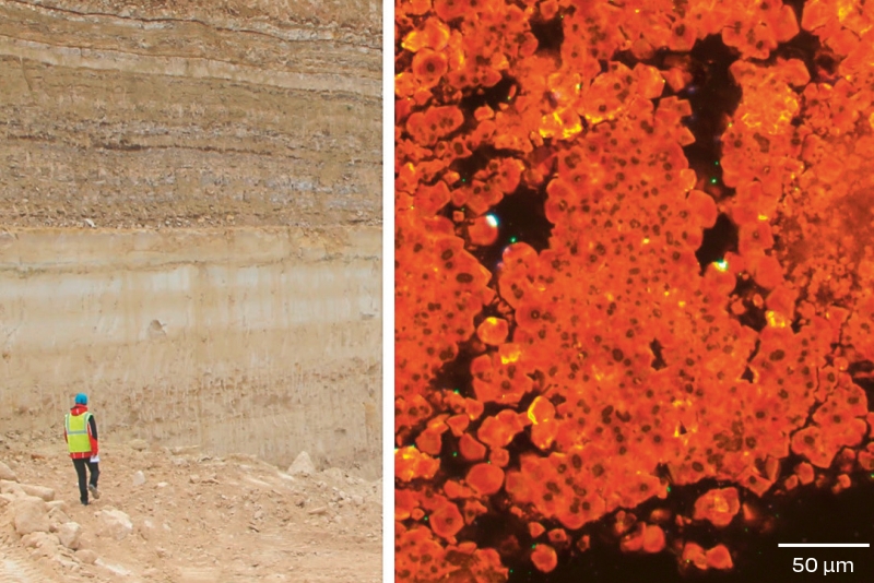 Left: Lutetian strata in a quarry at Saint-Maximin (Oise), with the top of the Coarse Limestone at the bottom and&nbsp;the&nbsp;Marnes et Caillasses (marl and hard limestone rubble) facies at the top. Right: small dolomite crystals with dark centres, newly formed in the Marnes et Caillasses, probably as a result of microbial activity during the late Lutetian period. ©&nbsp;Julien&nbsp;Talon