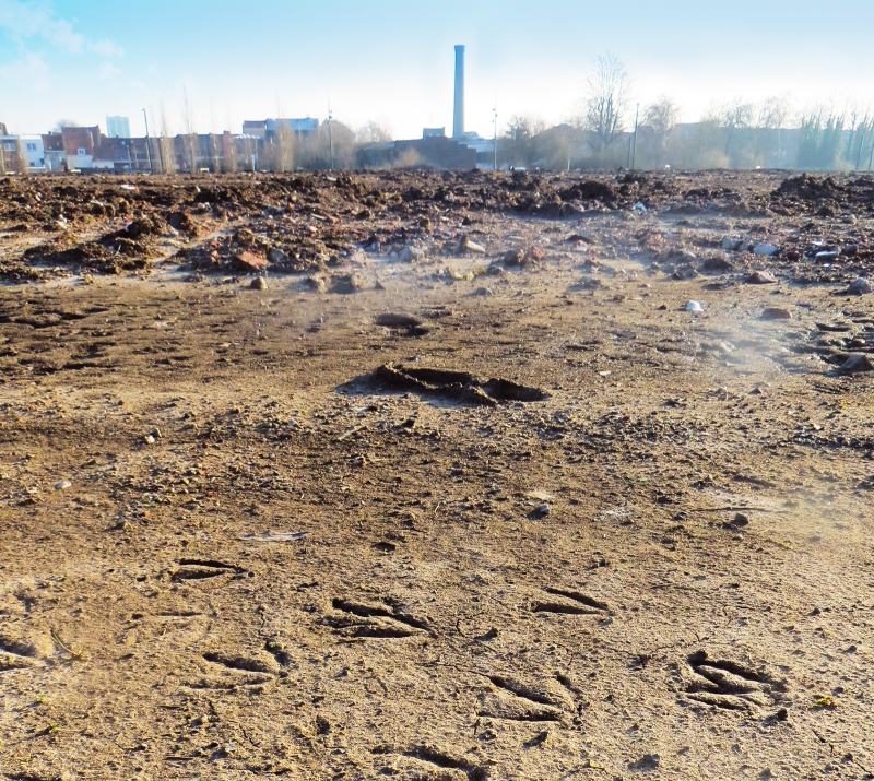 InfoSols helps to keep a record of&nbsp;the&nbsp;locations and activities of&nbsp;former industrial sites, for example, the&nbsp;Union brownfield site in Roubaix (Hauts‑de‑France) shown here. ©&nbsp;brgm
