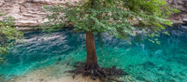 The source of the Sorgue at Fontaine-de-Vaucluse (Vaucluse) © Getty Images
